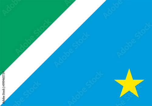 The flag of Mato Grosso do Sul state, Brazil, with precise proportions and official colors.