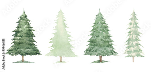 Watercolor set of green fir trees. Hand drawn illustration of coniferous trees, firs or spruces. Vernozelenok tree, symbol of New Year and Christmas.