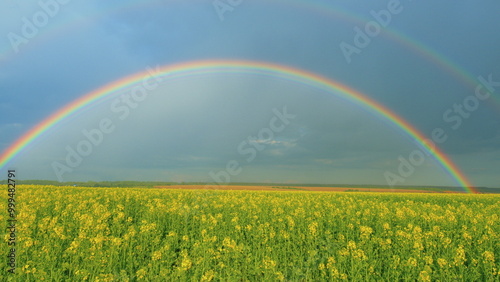 Agricultural Fields With Rainbow. Rural Landscape With Rain Clouds And Rainbow. Big Rainbow Against Green Fields.