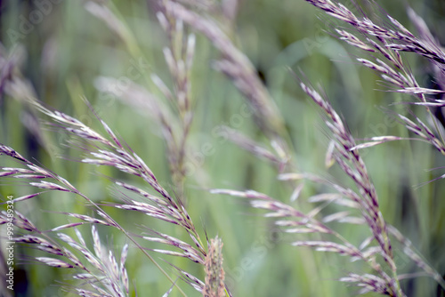 Natur 2024