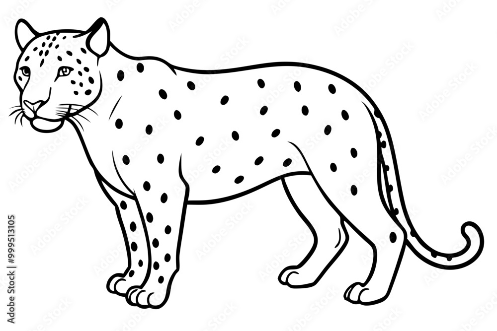 Fototapeta premium jaguar line art, jaguar outline vector illustration