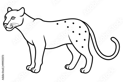 jaguar line art, jaguar outline vector illustration