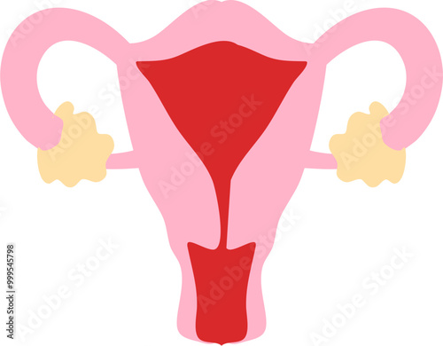 Menstrual illustration. Cloth menstrual pad. Menstrual cup. Menstrual cycle. 