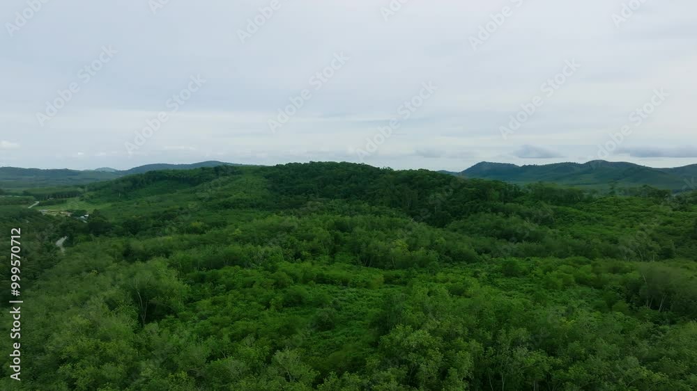 Aerial View of Lush Green Hills and Forests in a Serene Landscape During Overcast Weather Aerial View of Lush Green Hills and Forests in a Serene Landscape During Overcast Weather