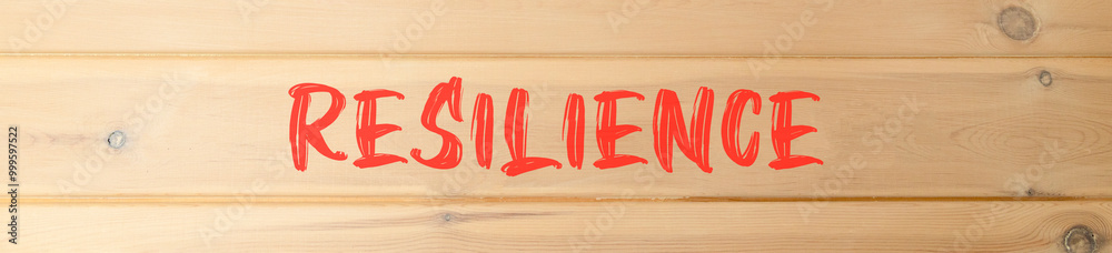 Resilience symbol. Concept word Resilience on beautiful wooden wall. Beautiful wooden wall background. Business resilience concept. Copy space. Resilience symbol. Concept word Resilience on beautiful wooden wall. Beautiful wooden wall background. Business resilience concept. Copy space.
