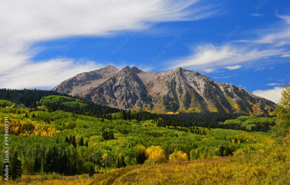 Naklejka premium magnificent east and west beckwith mountains and changing aspen trees on a sunny fall day on the kebler pass road between crested butte and paonia in the rocky mountains of colorado