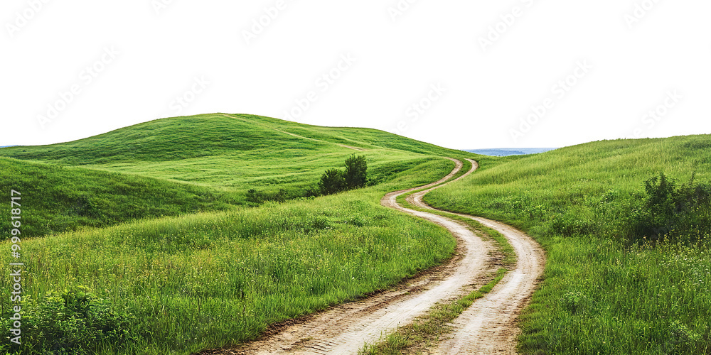 Winding road through green hills, isolated on transparent cutout background