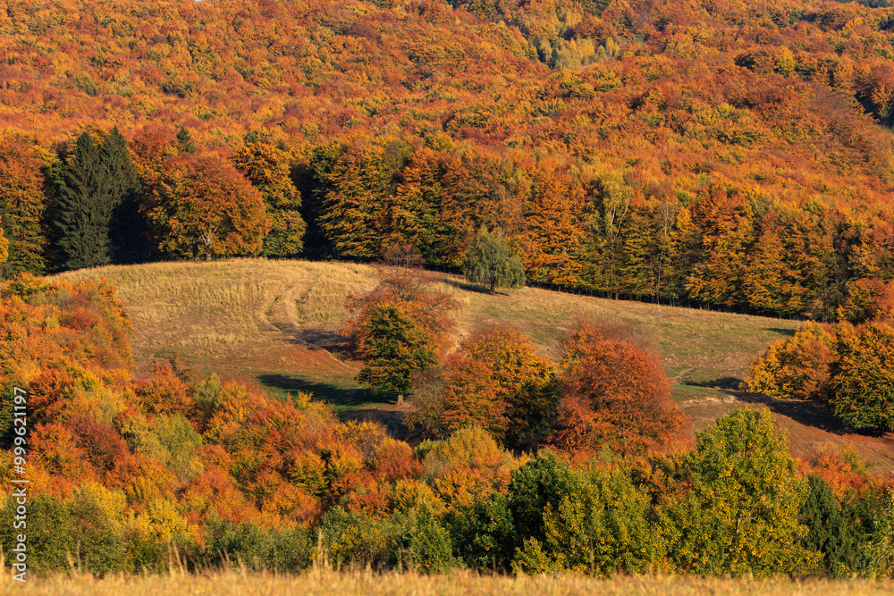 Fototapeta premium Beautiful autumn landscape around Lake St. Anna in Romania.