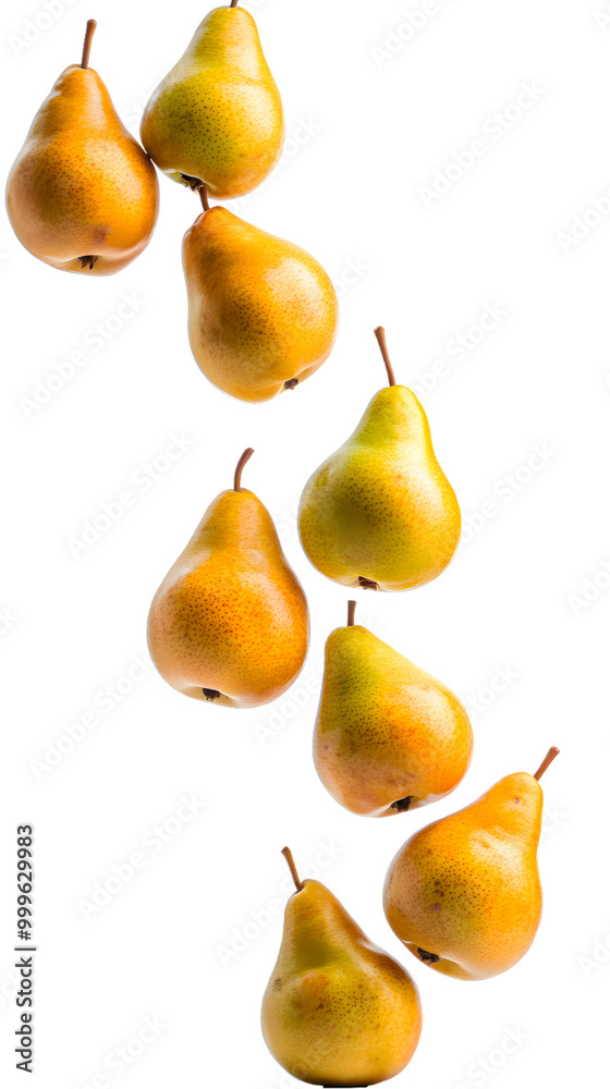 Fresh ripe pears falling isolated on transparent background Fresh ripe pears falling isolated on transparent background