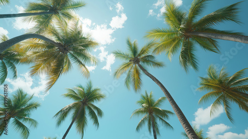 Wallpaper Mural Coconut trees. Torontodigital.ca