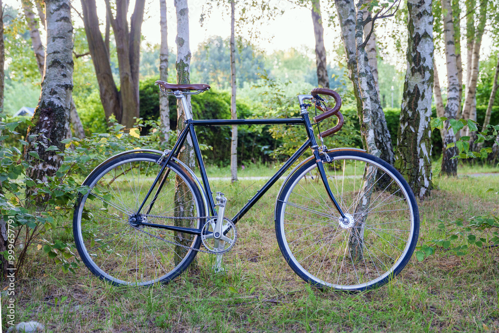 Fototapeta premium a bicycle leaning against a tree in a serene forest setting