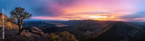 Silhouetted tree against a breathtaking sunset over rolling hills.