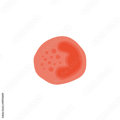 Basophil illustration 