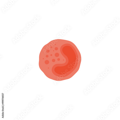 Basophil illustration 