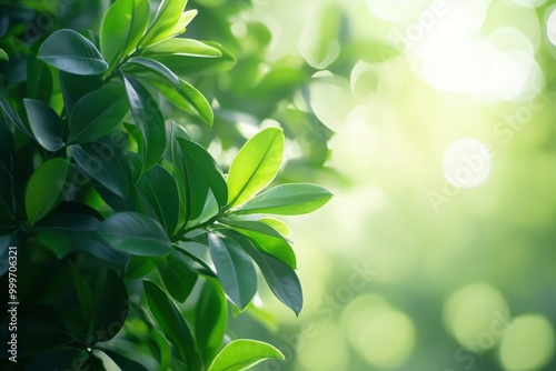 Blurred green ixora leaves background - generative ai