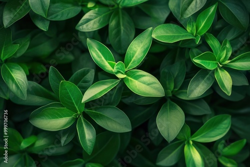 Blurred green ixora leaves background - generative ai