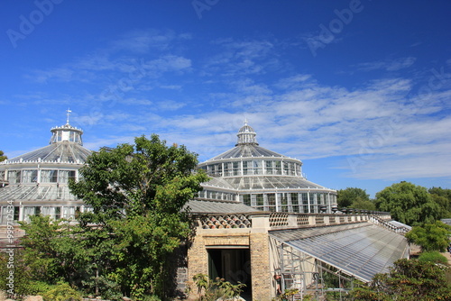 Botanischer Garten in Kopenhagen photo