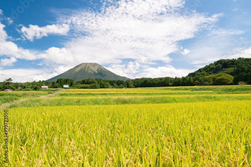 大山と棚田