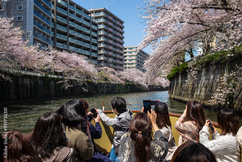 A cherry blossom viewing cruise along the Meguro River while admiring the cherry blossoms in full bloom photo