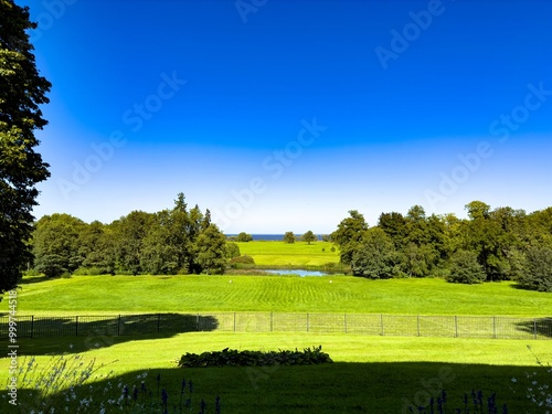 A wide and peaceful view of a vibrant green meadow in Peterhof, stretching towards the Finnish Gulf. The clear blue sky contrasts with the rich greenery, while trees in the distance frame the serene