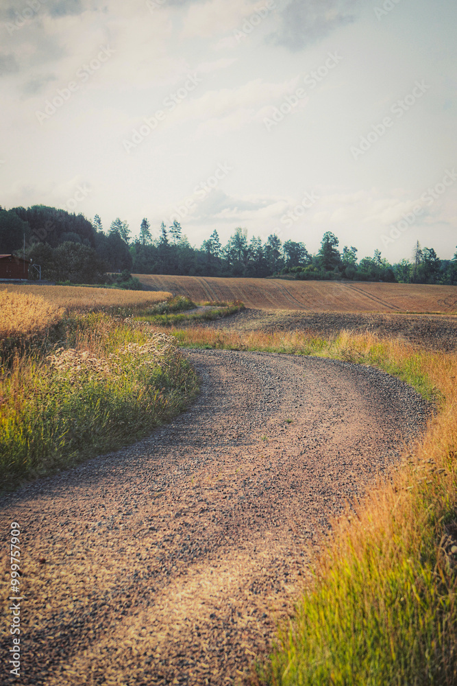 Fototapeta premium Close up of dirt road during autumn