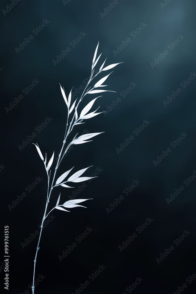 Serene Zen Bamboo Against Dark Background Serene Zen Bamboo Against Dark Background