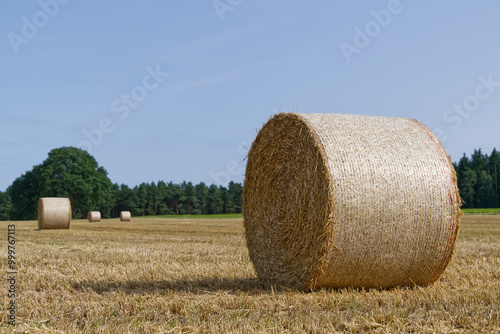 A round straw bale standing on the right of a field, occupies approx. a fourth of the picture. In the background are three more straw bales and farther away trees fencing off the field. 