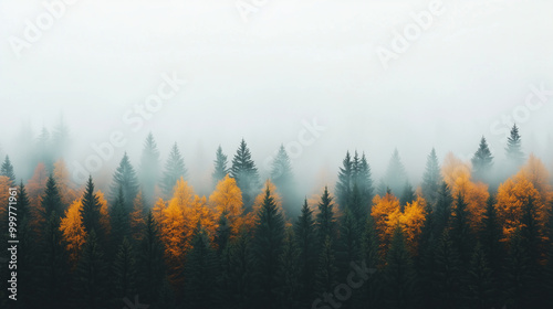 Misty forest landscape with vibrant autumn trees, showcasing blend of green and orange hues. serene atmosphere evokes sense of tranquility and connection to nature.