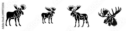 Cute moose illustrations on a white isolated background. photo