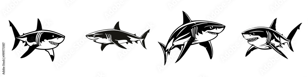 Sharks swimming in various poses on a white isolated background. Sharks swimming in various poses on a white isolated background.