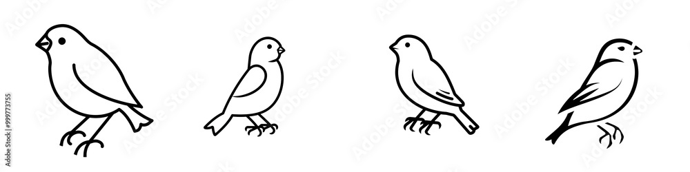 Two elegant owls perched quietly on a branch, isolated on a white background. Two elegant owls perched quietly on a branch, isolated on a white background.