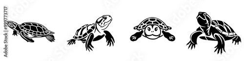 Turtle illustration set on a white isolated background for educational and decorative use. photo