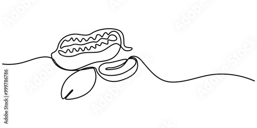Peanut simple vector drawing. One continuous line art border, background, label design, Peanuts Drawing, One continuous line drawing of whole healthy organic peanut for snack product logo identity.