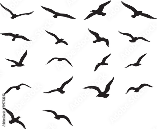 Set of sea gull flying silhouette