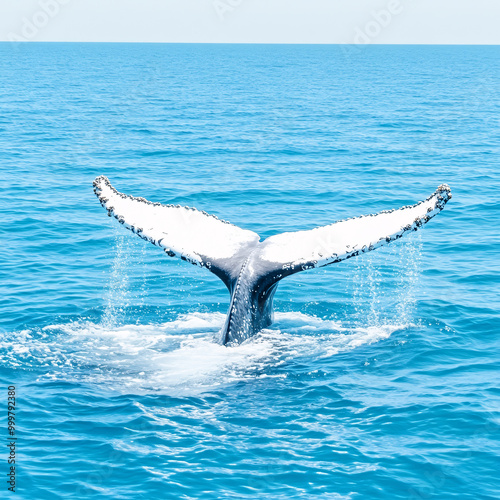 Whale tail emerging from the ocean, with water splashing around it photo