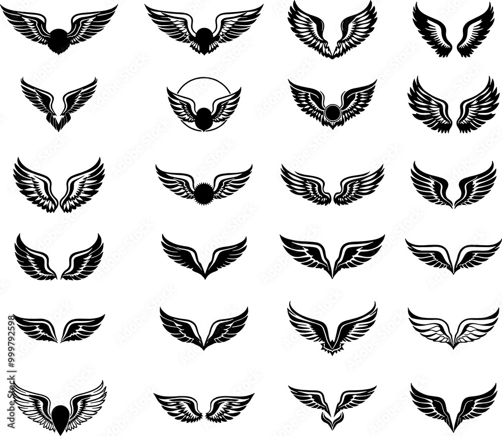 Set of wings icon logo