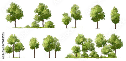  Vector watercolor green  tree or forest side view isolated on white background for landscape and architecture drawing,elements for environment or and garden,Shrub for section