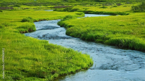 Beautiful Grassland River and Green Grassland Background: A Serene Natural Scene. Admire the Peace and Beauty