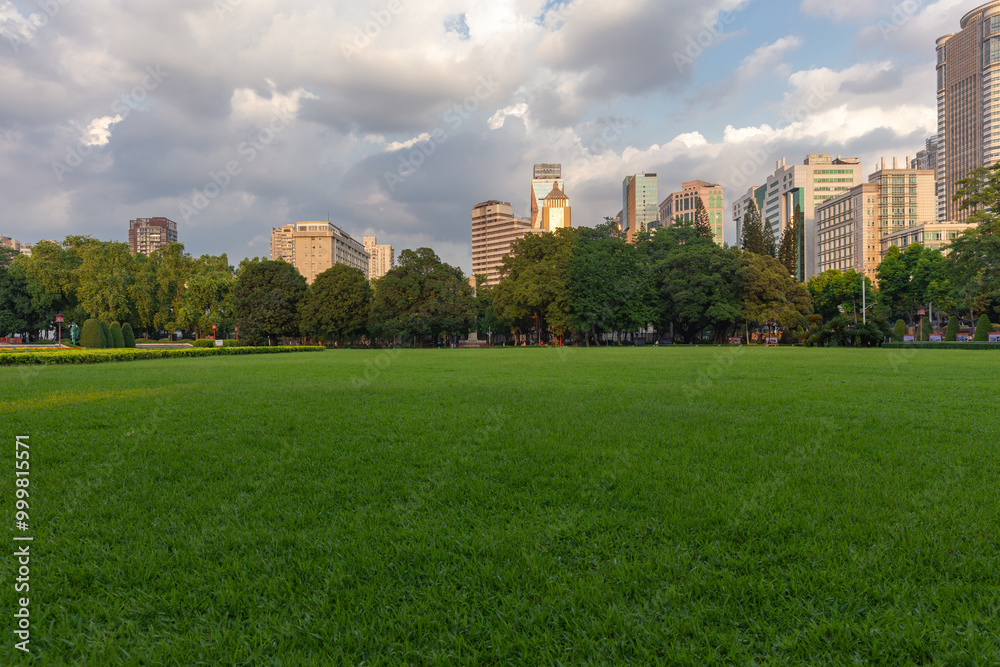 Obraz premium Lawn with city building landscape