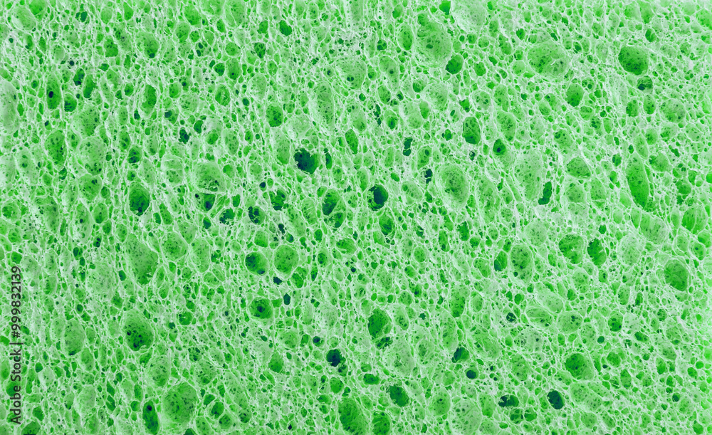 Sponge texture closeup background Sponge texture closeup background