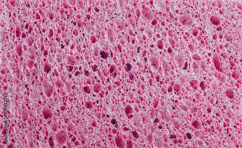 Sponge texture closeup background