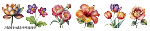 Set of watercolour exotic colourful blooming flowers collection isolated on transparent background. Generative AI