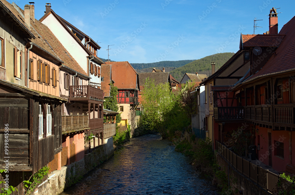 Fototapeta premium Small river flows along the medieval houses in Riquewihr village.Typical architecture of Alsace region. Riquewihr village is a commune in the Haut-Rhin department in Grand Est in north-eastern France