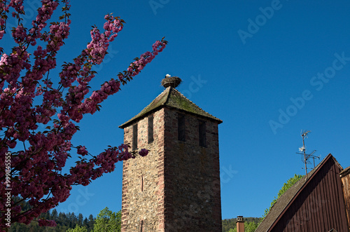 Ancient stone tower with a large stork's nest on the top. Typical architecture of Alsace region. Riquewihr village is a commune in the Haut-Rhin department in Grand Est in north-eastern France