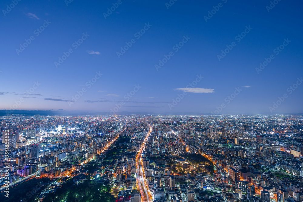 Obraz premium 展望台から眺める大阪市の夜景