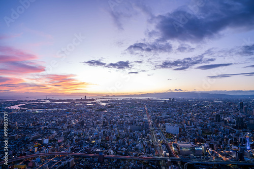 展望台から眺める大阪市の夜景