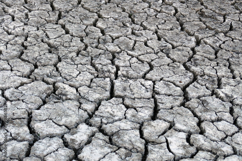 Deep splitting and cracking of the soil as a result of the decrease in near-water levels, Deep splitting and cracking of the soil as a result of the decrease in near-water levels,