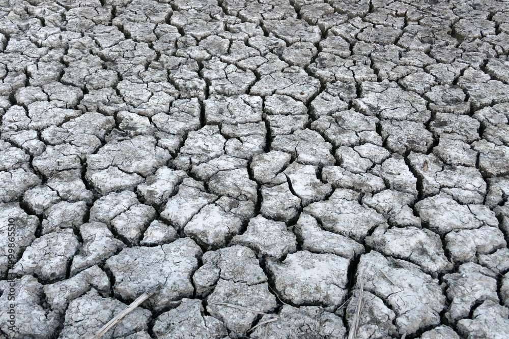 Close-up: deep splitting and cracking of the soil as a result of the decrease in water,
