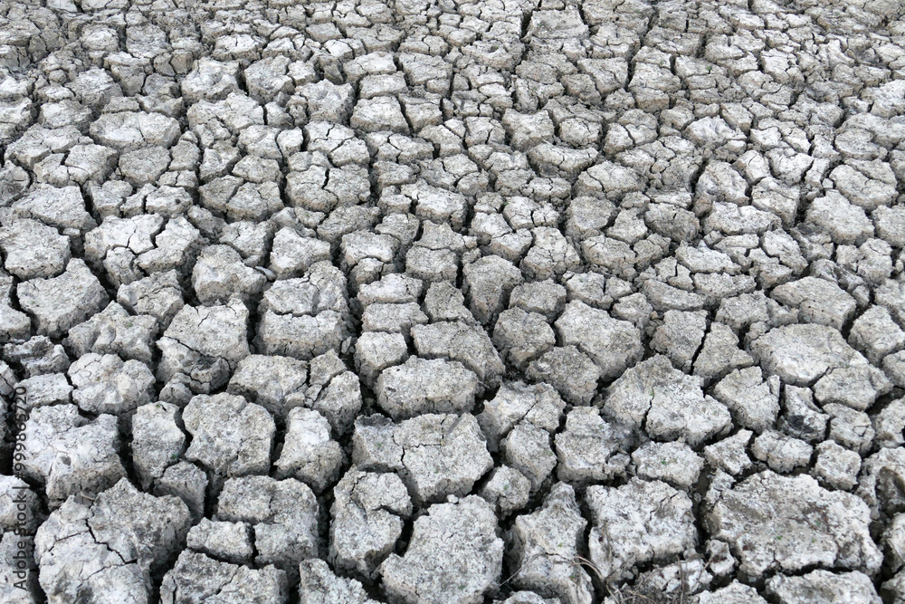 Close-up: deep splitting and cracking of the soil as a result of the decrease in water,