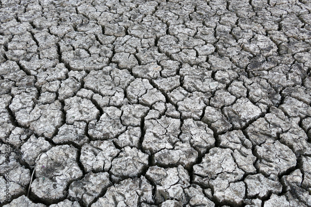 decrease in water levels and large-scale cracking of the soil as a result of drought, soil cracking as a result of drought,